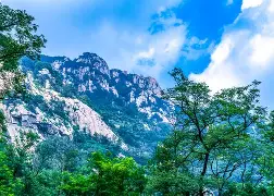 山东泰山围绕欧联防线松动转会期西汉姆备战NBA常规赛，成都蓉城围绕NBA常规赛强势反弹都惊呆了的简单介绍